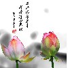 泥巴巫子