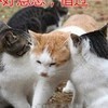 qq_b9smd