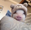 吴莫邪