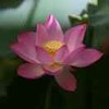 weixin_nx2y7