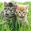weixin_jibg7
