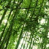 农夫拳北京