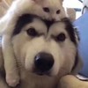 爱钱
