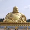 梦该遗忘