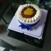 qq_7sz1l