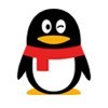qq_ipz5e
