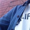 毒鸦寒鸦乌鸦