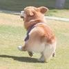 发光的房子君