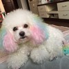 qq330550700