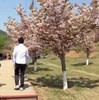weixin_15drp