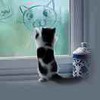 weixin_hribb