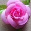 qq_9w883112m525