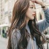 紫影乱戈梦