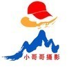 378617296wang
