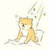 weixin_ik41g
