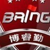 博睿勤酷卫士手机探