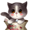 qq_zp3wk 