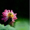 沂蒙摄影