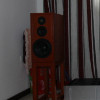 tcyty1003