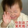 阳光冬青