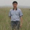 秦筝