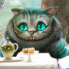 柴郡猫001