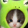 霸王霸主