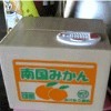 生如草芥