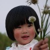 达Q啦猫