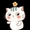 qq_06zwi
