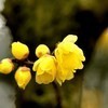 weixin_1688c114