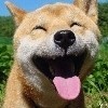 WalkerAI