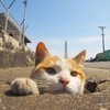 heywangjojocn