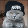 qq_3qnmm