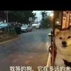 qq_x50hv50t845b