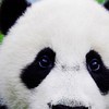 就那样吧