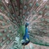 weixin_xk3im