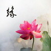 水上影画