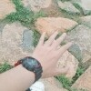 nuz17nIN