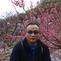 xieyg727