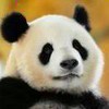 weixin_lx34f