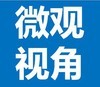 微观视角