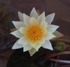 勇往直前_333