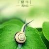 qq_ukz79