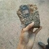 假行家
