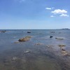 ご多釨ご_10