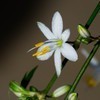 weixin_1ja66514