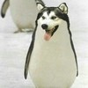 猪是的念着倒i