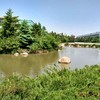 平凡_796