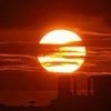 R戏里戏外